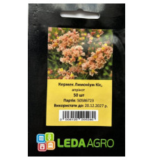 ТМ LEDAAGRO Лімоніум (Кермек) Кіс Апрікот 50шт