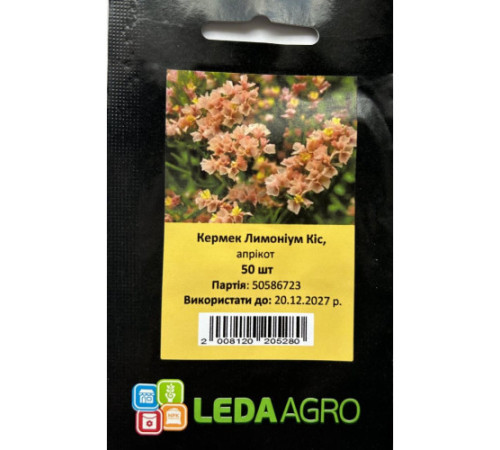 ТМ LEDAAGRO Лімоніум (Кермек) Кіс Апрікот 50шт