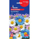 ТМ GLSEEDS Брахікома Палермо 0,2г