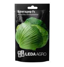 ТМ LEDAAGRO Капуста Бригадир F1 20шт