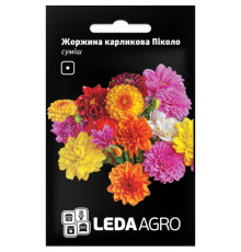 ТМ LEDAAGRO Жоржина карликова Пікколо 0,2 г