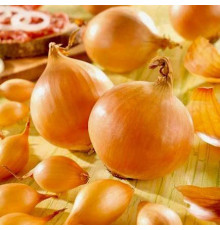Озима цибуля саджанка Ефект 10кг Голландія