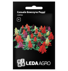 ТМ LEDAAGRO Сальвія блискуча Редді суміш 10шт