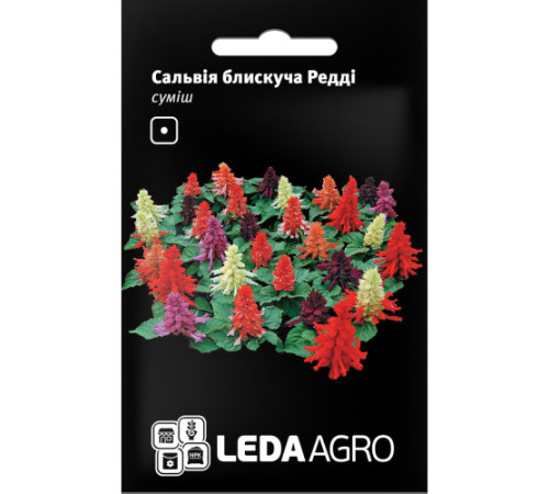 ТМ LEDAAGRO Сальвія блискуча Редді суміш 10шт