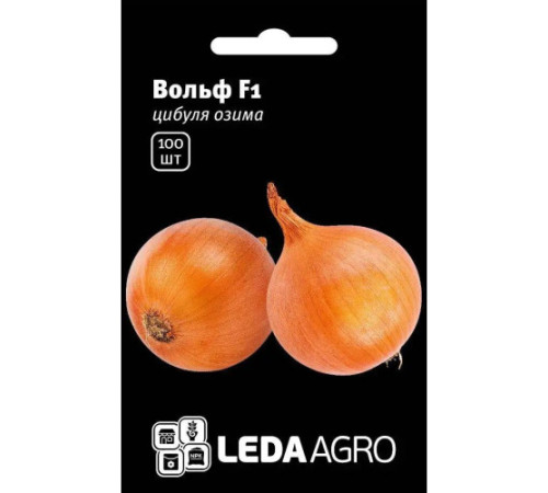 ТМ LEDAAGRO Цибуля Вольф F1 100шт