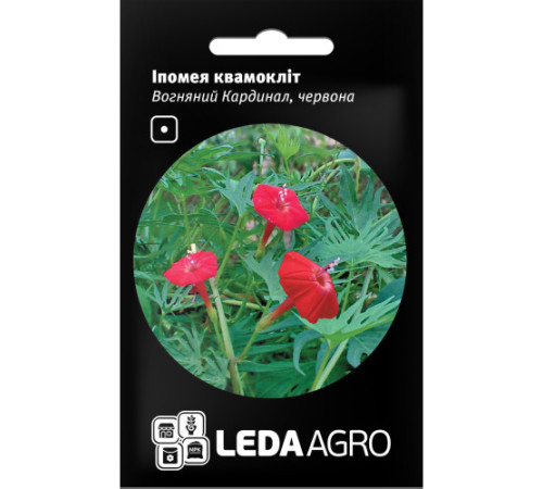 ТМ LEDAAGRO Іпомея квамокліт Вогняний кардинал 0,5 г