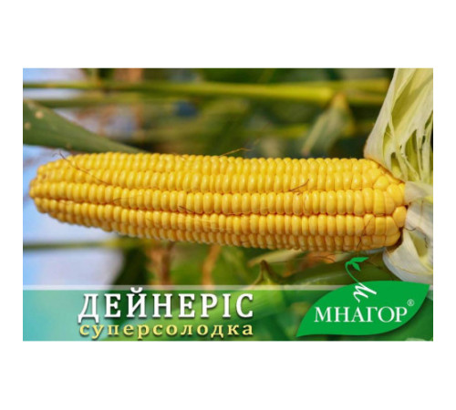 ТМ МНАГОР Кукурудза цукрова Дейнерис (Барселона) F1 50шт