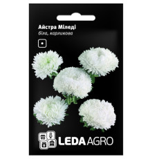 ТМ LEDAAGRO Айстра карликова Міледі біла 0,2 г