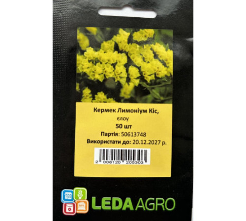 ТМ LEDAAGRO Лімоніум (Кермек) Кіс Єлоу 50шт