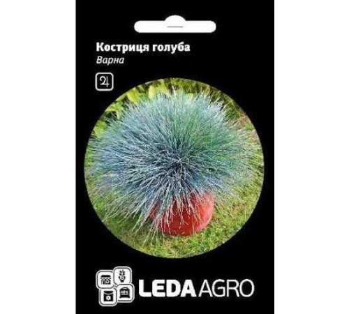 ТМ LEDAAGRO Костриця голуба Варна 0,2г