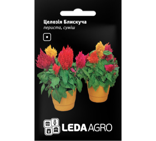 ТМ LEDAAGRO Целозія Блискуча периста суміш 0,01 г
