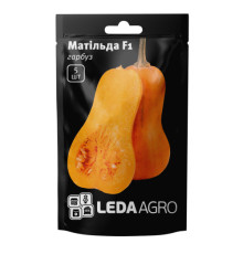 ТМ LEDAAGRO Гарбуз Матільда F1 5шт