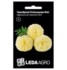 ТМ LEDAAGRO Чорнобривці Кіліманджаро Вайт африканські кремово-білі 0,2 г