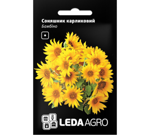 ТМ LEDAAGRO Соняшник карликовий Бамбіно 0,5 г