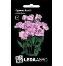 ТМ LEDAAGRO Еустома Ехо F1 лавандова 5шт