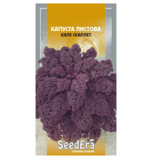 ТМ SeedEra Капуста Кале фіолетова Скарлет  0,5г