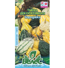 ТМ ВЕЛЕС Гарбуз декоративний Бородавка 5шт