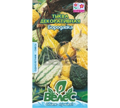 ТМ ВЕЛЕС Гарбуз декоративний Бородавка 5шт