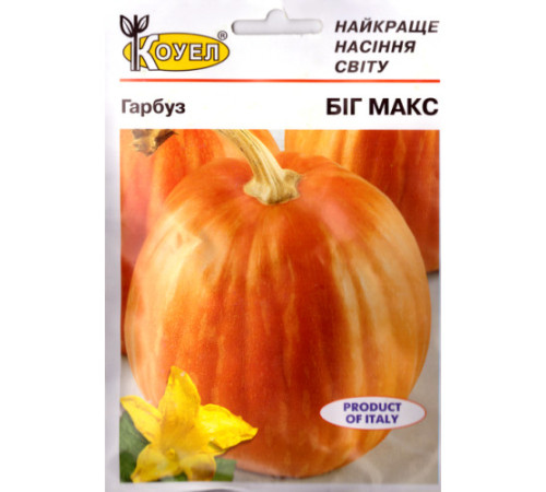 ТМ КОУЕЛ Гарбуз Біг макс 10г