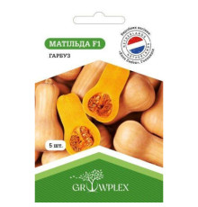 ТМ GROWPLEX Гарбуз Матільда F1 5шт (Enza Zaden)
