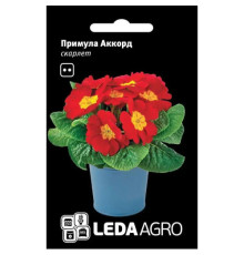 ТМ LEDAAGRO Примула Акорд F1 скарлет 10шт