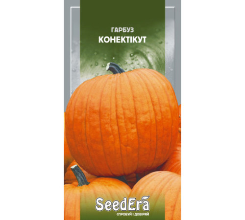 ТМ SeedEra Гарбуз Конектікут 2г