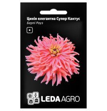 ТМ LEDAAGRO Цинія елегантна Супер Кактус, Берпі Роуз 0,3 г