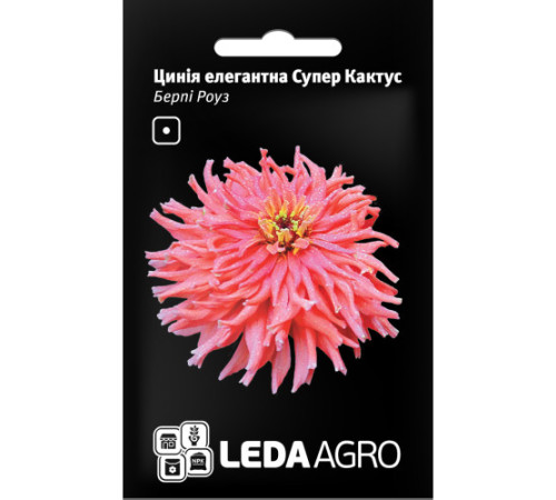 ТМ LEDAAGRO Цинія елегантна Супер Кактус, Берпі Роуз 0,3 г