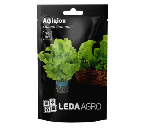 ТМ LEDAAGRO Салат батавія Афіціон 30шт