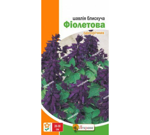 ТМ ЯСКРАВА Шавлія блискуча Фіолетова 0,2г