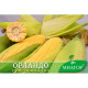 ТМ МНАГОР Кукурудза цукрова Орландо F1 50шт
