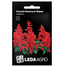 ТМ LEDAAGRO Сальвія блискуча Фарао червона 0,05 г