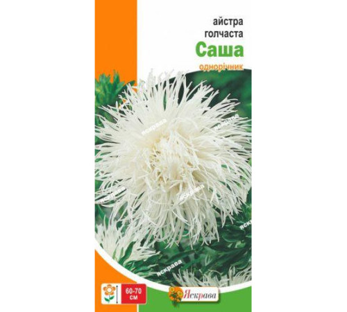 ТМ ЯСКРАВА Айстра голчаста Саша 0,3г